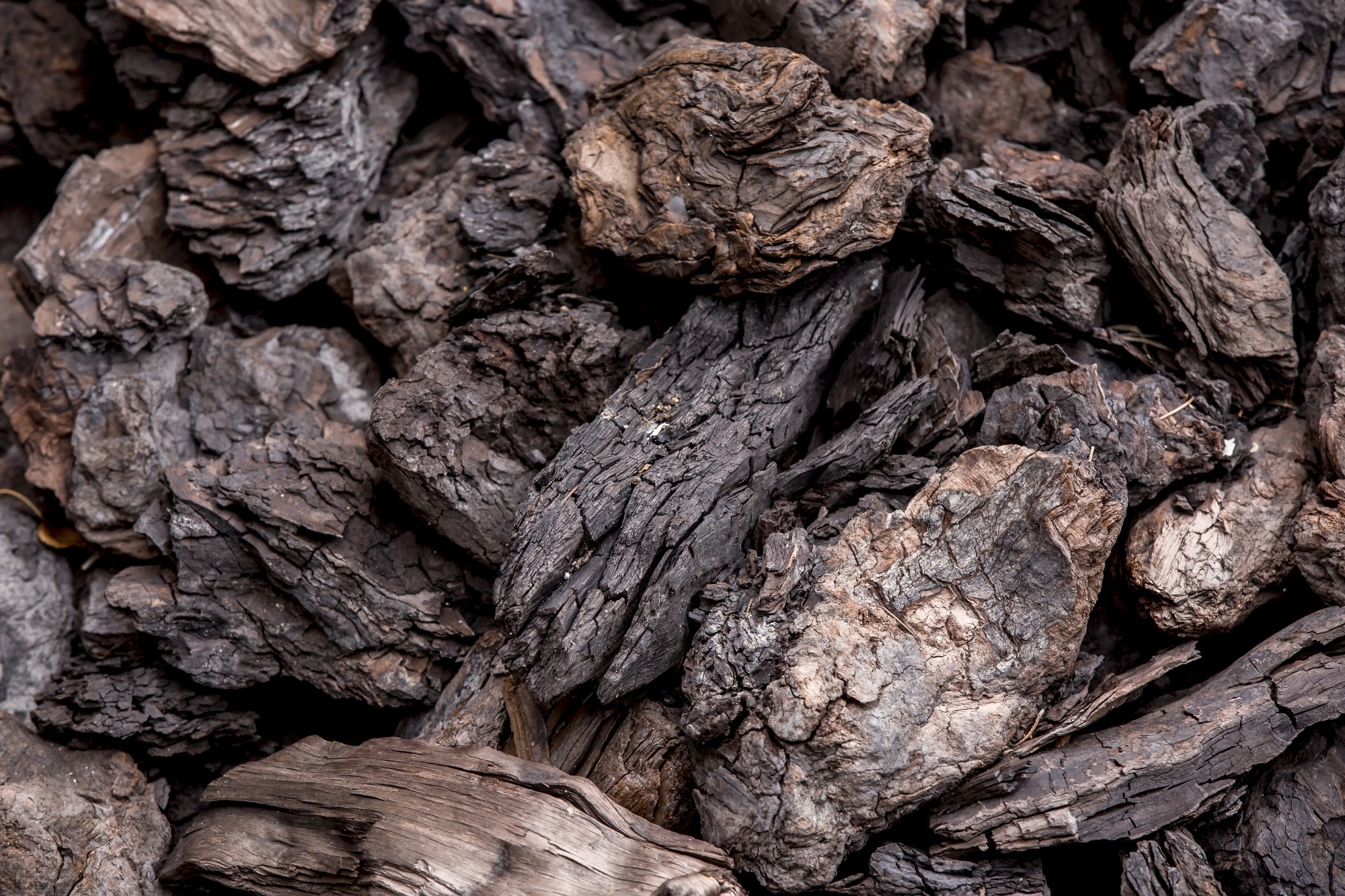 lignite, brown coal