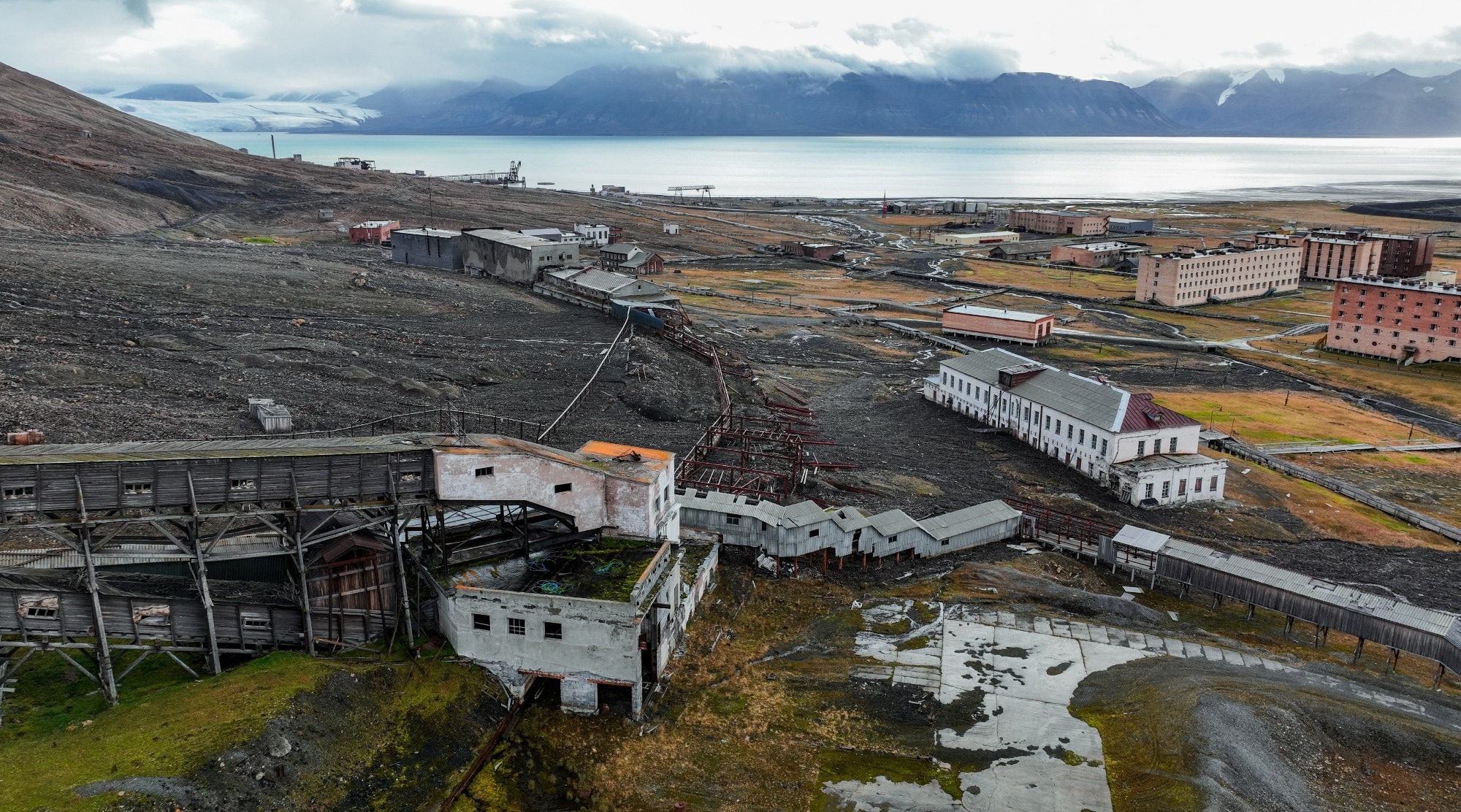 Reclaiming Coal Mine Wastelands: How Afforestation Is Rebuilding Soil from the Ground Up