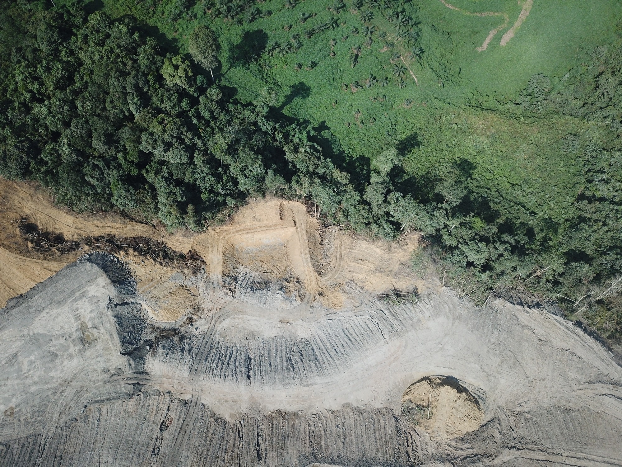 Metal and Coal Mining Linked to Major Forest Cover Loss Worldwide
