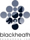 Blackheath Announces Commencement of Phase 3 Diamond Drill Program at Covas Tungsten Project