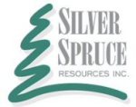 Diamond Drilling Begins on the Big Easy Gold-Silver Prospect
