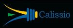 Calissio Resources Divests San Pedro Copper Mine in Mexico
