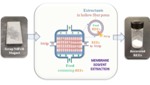 Critical Materials Institute Licenses Rare-Earth Recycling Technology to U.S Rare Earths