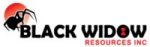 Black Widow Acquires 100% Interest in 49 Map Designated Cells in Quebec’s Abitibi Region