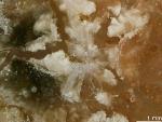 Earth Could Have More Than 1,500 Undiscovered Minerals