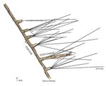 Comstock Provides Update on Lucerne Underground Exploration and Drift Development
