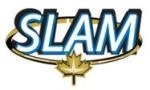 SLAM Announces Separation of Gold from High Grade Sample of Maisie Deposit