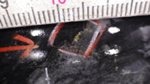 Radisson Provides Assay Results of Drill Program on O'Brien Gold Project