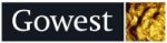 Gowest Gold Announces Outcome of First Ever IP Program on Pipestone Structure at North Timmins Gold Project