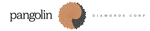 Pangolin Confirms MG-08 as Second Kimberlite Target at Motloutse Diamond Project