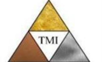Drilling Commences at TriMetals Mining’s Gold Springs Project in Nevada and Utah