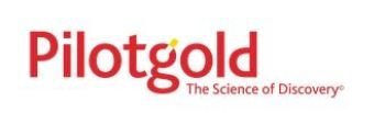 Pilot Gold Announces Additional Drilling Results from Goldstrike Oxide Gold Project in Utah