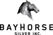 Diamond Drill Program Due for Completion at Bayhorse’s Gap Silver Project in British Columbia