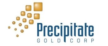Precipitate Gold Discovers New Gold-in-Soil Geochemical Anomaly at Ginger Ridge Zone
