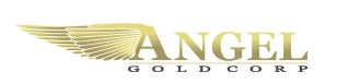Angel Gold Provides Update on Geophysical Survey Program at El Porvenir Project