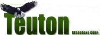 Teuton Plans for 2017 Exploration at Treaty Creek Project