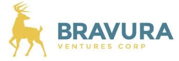 Bravura Ventures Plans Basal Till Sampling Program on Grew Creek Property