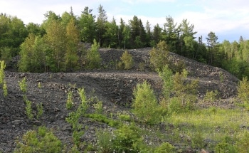 First Cobalt Announces Extensive Sampling Program at Historic Muckpile Material