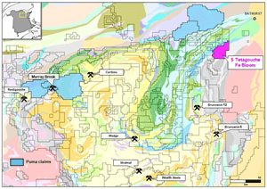 Puma Exploration to Purchase Fe Bloom Property in New Brunswick
