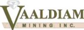 Vaaldiam Mining Upbeat on Reported Loss