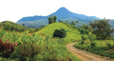 Problems Ahead for Tampakan Copper Gold Project