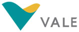 Vale Spends Big on Iron Ore Shipping