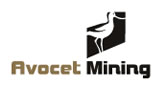 Exciting Times Ahead for Avocet Mining After Strong Year