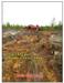 Cartier Resources Begins Diamond Drilling at Dollier Property, Quebec