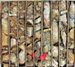 Excelsior Mining Announces Assay Results from Gunnison Copper Property, Arizona