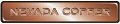 Nevada Copper Reports Positive Drilling Results from Pumpkin Hollow Property