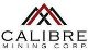 Calibre Mining Reports Initial Drill Hole Results from Riscos De Oro Property