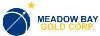 Meadow Bay Gold Reports Drilling Results from Colorback Gold Project, Nevada