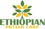 Ethiopian Potash Plans to Begin 15,000 Meter Drill Program