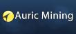 Auric Mining Signs LOI to Buy Homestead Tonopah Gold in Nevada
