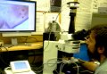 Linkam High Temperature Stage Used to Study Geological Samples