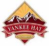 Yankee Hat Minerals Evaluates Winter Drilling Program at Fran Property
