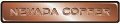 Nevada Copper Reports Positive Drilling Results from Pumpkin Hollow Property