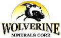 Wolverine Minerals Starts Exploration Work at Finlayson District Properties