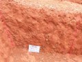 Calibre Mining and B2Gold Start Phase II Exploration at Primavera Prospect