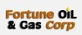 Alta Mining Commences Exploration Program at SGH Property