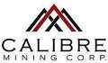 Calibre Mining Begins Diamond Drilling at Riscos De Oro Project