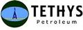 Tethys Petroleum Updates on First Results from Doris AKD06 Well