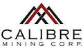 Alder Resources Commences Drilling at Calibre’s Rosita Project