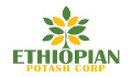 Ethiopian Potash Obtains High-Grade Sylvite Assays from Danakil Potash Project