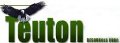 Teuton Resources Releases Magneto-Telluric Survey Results from Treaty Creek Property
