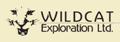 Wildcat Exploration Confirms Nickel Mineralization at Burntwood Project