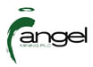 Angel Mining Makes Record Gold Pour