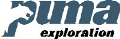 Puma Exploration Announces Channel Sampling Results from Dante Lens