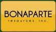Bonaparte Resources Reports 2011 Surface Exploration Results from Hooch Property in Yukon