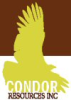 Condor Resources Encounters Encouraging Results from San Martin Project